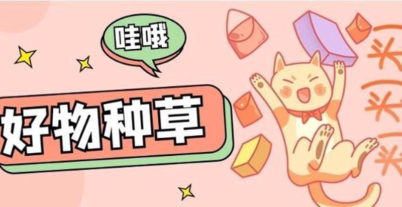 精选好物：带你走进品质生活